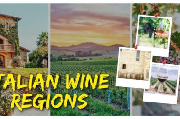 Italian Wine Regions: A Guide to the Best Vineyards and Wineries
