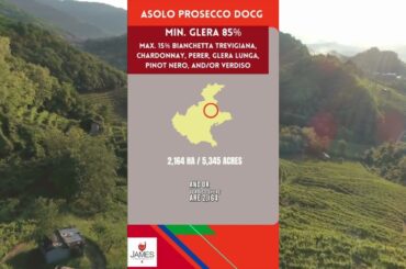 Italian DOC & DOCGs - Asolo Prosecco DOCG #italianwine #sparklingwine #shorts
