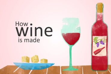 how wine is made (animation)