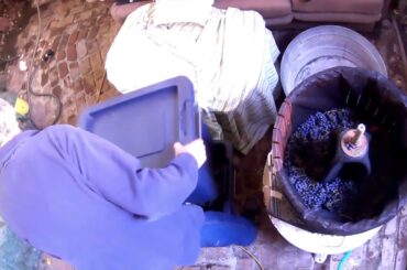 EnoRossi Italian Bladder Pressing Blue Lotus Organic red Wine