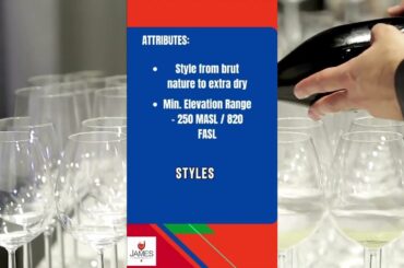 Italian DOC & DOCGs Alta Langa DOCG #italianwine #docg #sparklingwine