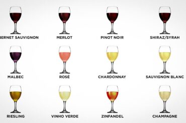 Every Wine Explained in 10 minutes Part 1