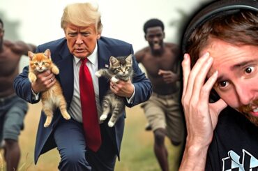 The Cat-Eating Migrants Situation Is Crazy