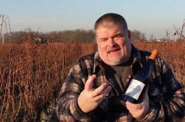 UNIQUE Fattoria Fibbiano 2017 Sanforte (Italy)