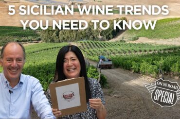 Understanding the wines of Sicilia DOC with the President of Sicily's biggest wine consortium