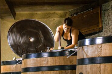 Northern Rhone Valley, Discovering The Great French Wines