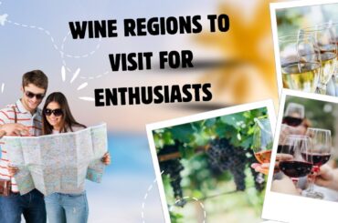 Sip and Savor: Top 10 Wine Regions Every Enthusiast Should Visit