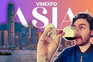 CHINA's SHOCKING Rise to WORLD CLASS Wine Making!