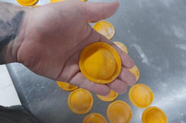 cheese and apricot raviolli