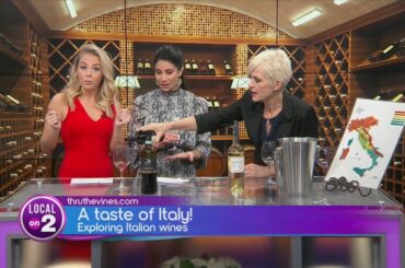 Exploring Italian wines with Thru the Vines