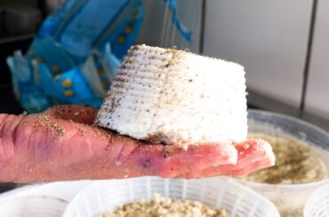 How Sheep Ricotta Cheese is Made in Italy (From Caciofiore Recipe) | Claudia Romeo