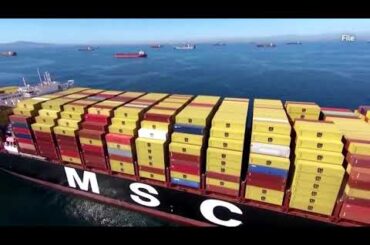 US port strike disrupts hamburger supplies, frozen seafood | REUTERS