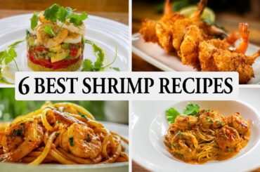 6 Finest Shrimp Recipes to Enjoy -  Experience Culinary Delight