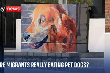 Special report: Are Haitian migrants really eating Springfield's pet dogs and cats?