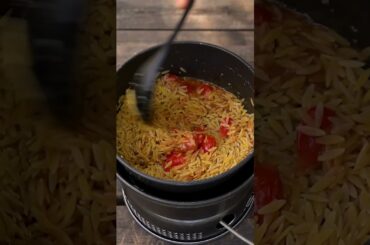 Garlic Tomato Orzo in the Forest
