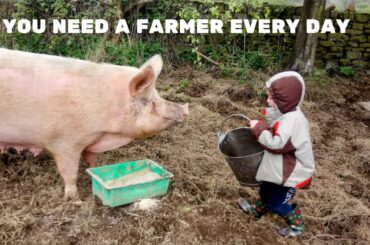 Marcilo Agro - The Italian Farmer