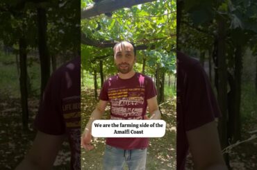 Wine tours of the Amalfi Coast