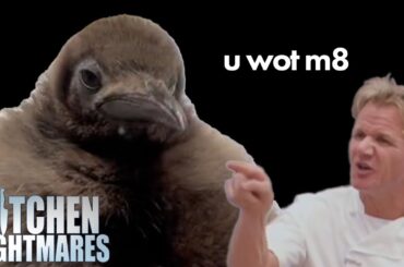 restaurants pesto the penguin wouldn't visit | Kitchen Nightmares | Gordon Ramsay