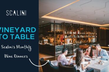 From Vineyard to Table: Wine Dinners at Scalini