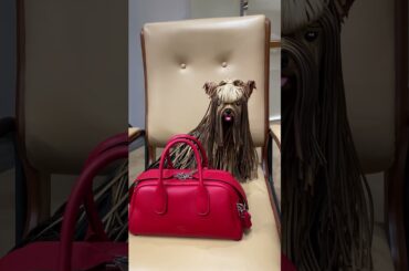 Milan wine week #italy #Milan #fashionweek #shorts