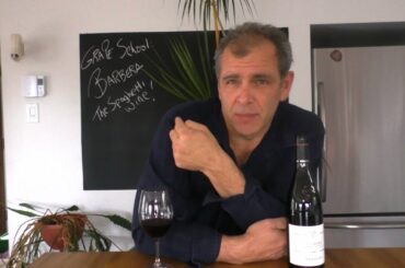 Wine grape school: Barbera