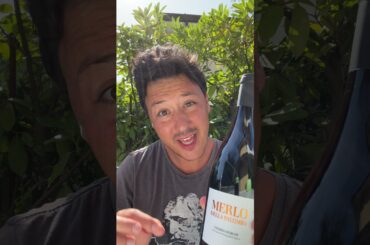 Are we drinking WINE wrong? #Shorts