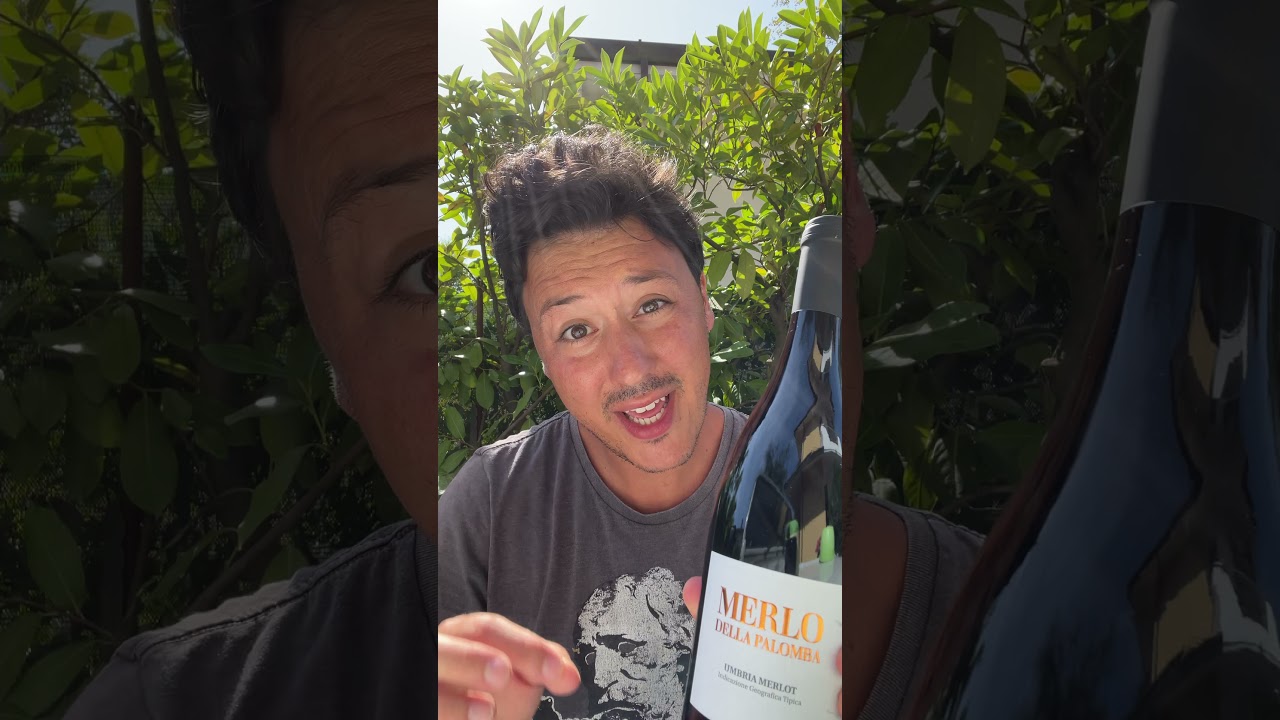 Are we drinking WINE wrong? #Shorts Are we drinking WINE wrong? #Shorts