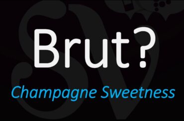 What is a Brut Sparkling Wine? Champagne, Cava, Prosecco - Wine Term Definition