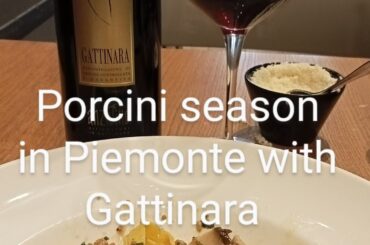 Porcini mushroom season in Piemonte Italy I eat in a great  ITALIAN restaurant  experience winelist