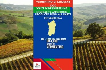 Italian DOC & DOCGs Vermentino di Sardegna DOCG - #italianwine #docg #vermentino