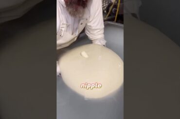 Can You Handle Italy’s Biggest Mozzarella? Discover the Zizzona! #italy #food