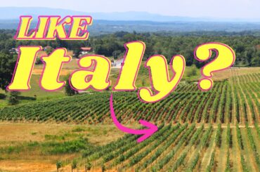 Discover a Hidden Gem Italian Owned Winery in North Carolina