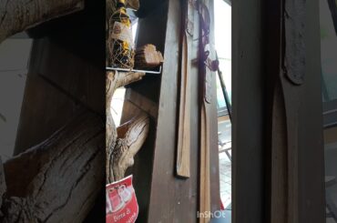 Yum yum #autumn #food # shorts