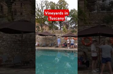 Amazing Vineyards in the Tuscan hills of Italy