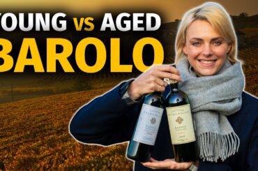 Aged vs Young: Is Matured BAROLO Always Better?