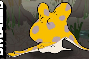 Bogged Down: What's Eating Sid Beatty? | adult swim smalls