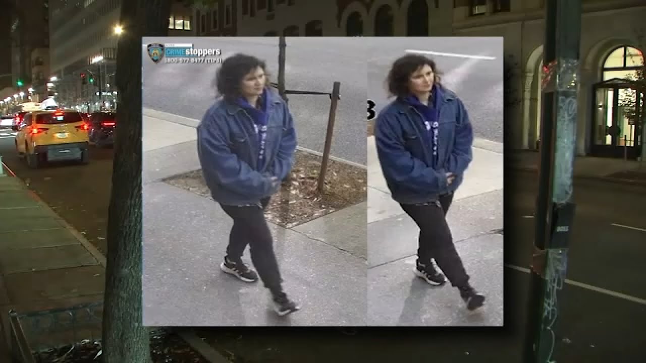 Italian tourist stabbed while walking in Manhattan Italian tourist stabbed while walking in Manhattan