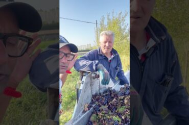 Italian Farmer #noakhali #italyvisa #italian #jabedekram #italyprobashi #agriculture