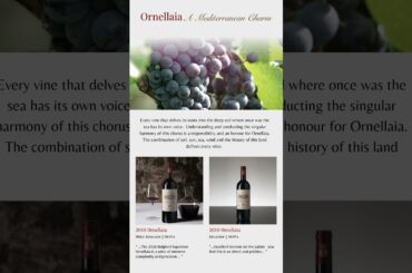 Italian Collections | Ornellaia Bolgheri | Antinori Tignanello