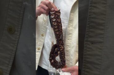 Costco Sushi in Japan