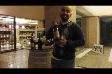 Lugana and Vapolicella wine tasting at the Zenato Cellars in Italy with the Indian sommelier
