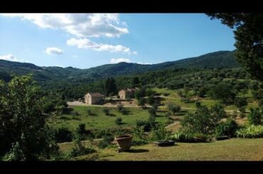 Chianti Region Half-Day Wine-Tasting Trip
