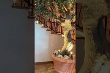 Inside Giovanni’s Table on Utopia of the Seas Before Lunch Service #seacountry #italian #italiano