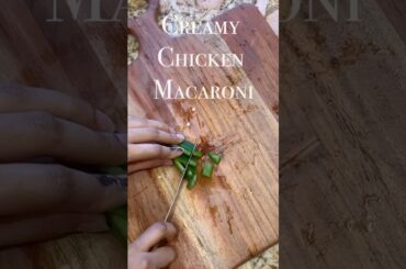Creamy Cheese Macaroni - Italian Pasta Recipe #cheesemacaroni #pasta #italianfood