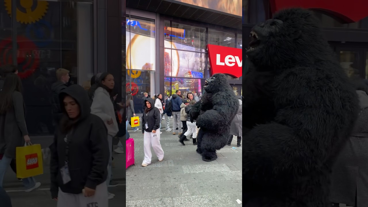 Warning: Rare Gorilla in #NYC 4K ?! #newyorkcity #manhattan #travel #usa #shorts Warning: Rare Gorilla in #NYC 4K ?! #newyorkcity #manhattan #travel #usa #shorts