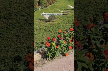 Enjoy beautiful places with us #dubai_tour_places #visit2dubai #Shorts 9 December 2024