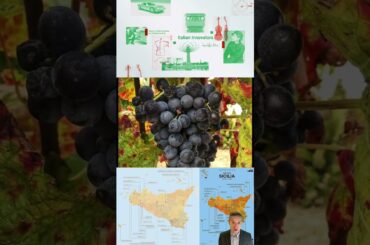 How Sicily became a land of #wines | #shorts #italianinnovators