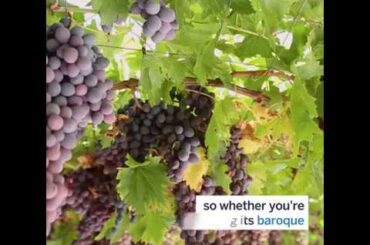 Barolo Wine Tours - 5 Reasons to Love Piedmont Region