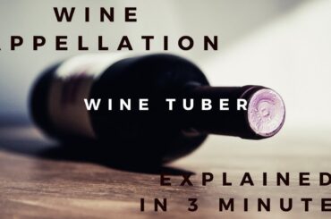 Wine appellation explained in 3 minutes.
