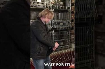 Pet Nat Fail: Sparkling Wine Fail #shorts